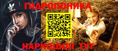 МДМА Можга