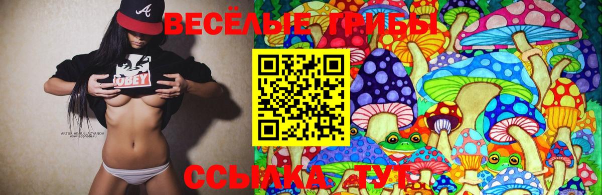 Галлюциногенные грибы мицелий  Псилоцибиновые грибы GOLDEN TEACHER  Симферополь  Вход с VPN 