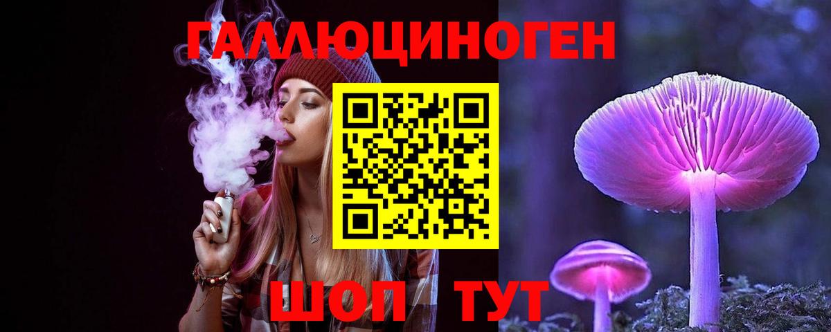 Псилоцибиновые грибы Psilocybe Симферополь